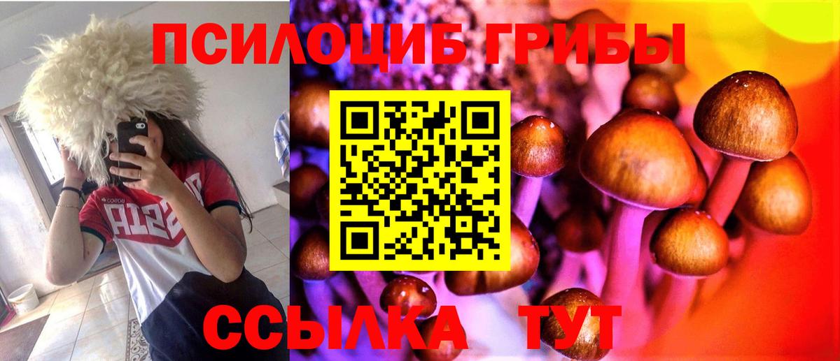 Галлюциногенные грибы мухоморы Красноармейск