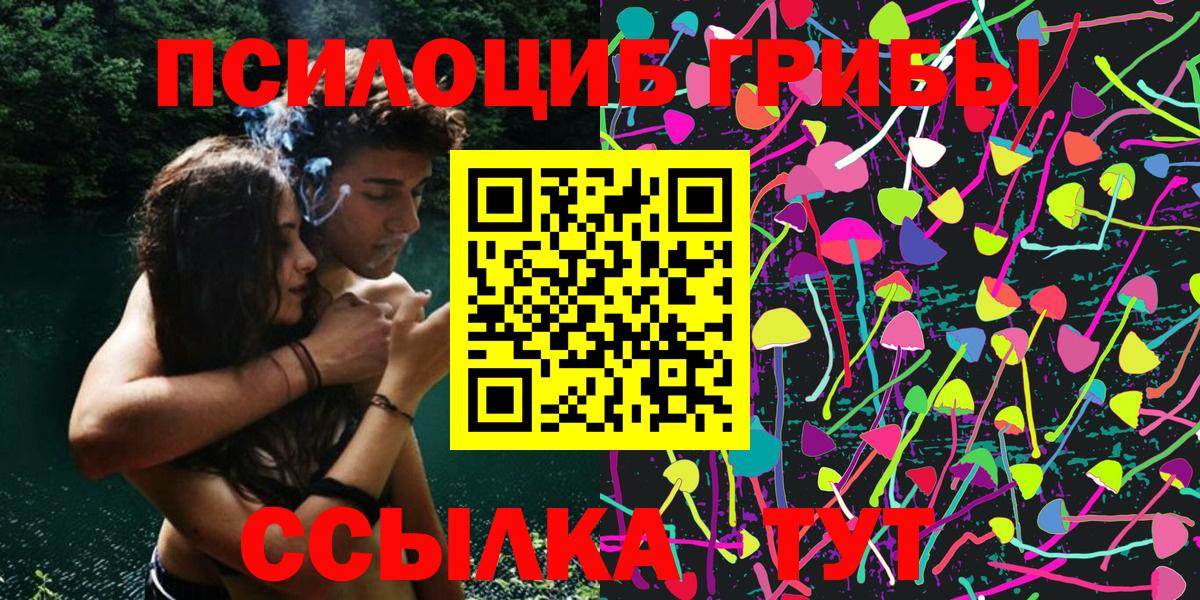 Псилоцибиновые грибы Magic Shrooms  Вход с VPN  Красноармейск  Галлюциногенные грибы Psilocybe 